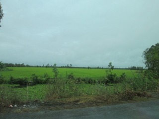 ha5245.jpg