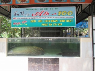 ha8271.jpg