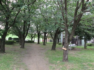 va3722.jpg