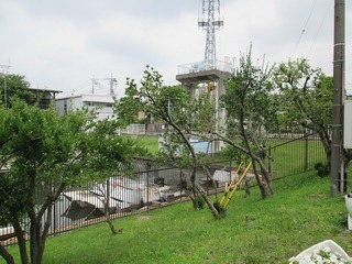va3763.jpg
