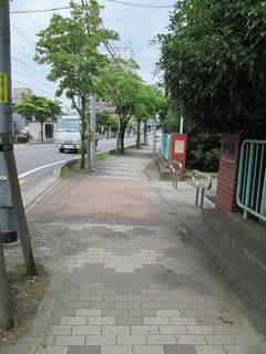 va3772.jpg