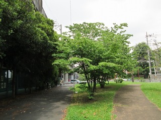 va3775@.jpg