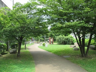 va3779@.jpg