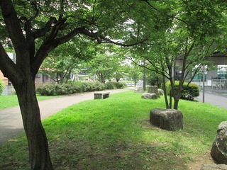 va3780.jpg