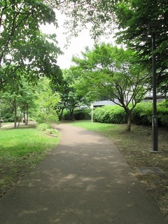 va3787@.jpg