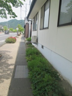 va4538@.jpg