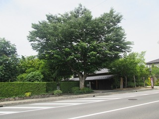 va4539.jpg