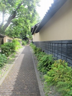 va4546s@.jpg