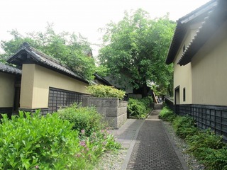 va4551@.jpg