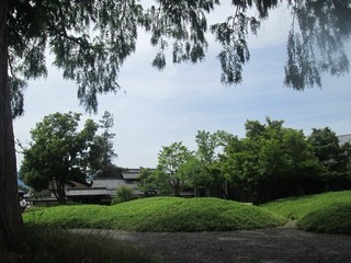 va4556.jpg