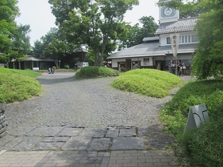 va4564.jpg