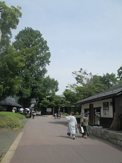 va4565@.jpg