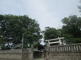 va4576.jpg