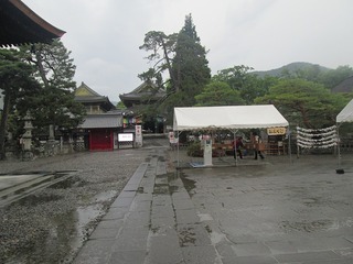 va4633@.jpg
