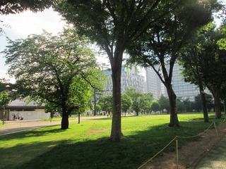 va4723@.jpg
