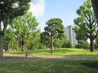 va4724.jpg