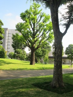 va4727.jpg