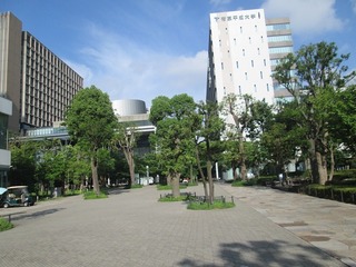 va4729@.jpg