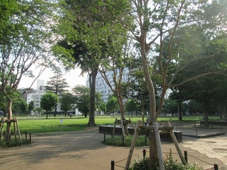 va4739@.jpg