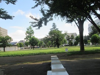 va4744.jpg