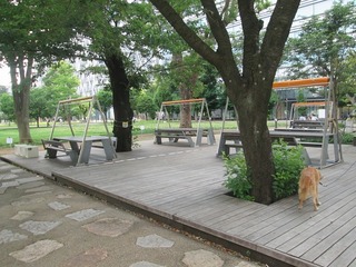 va4749@.jpg