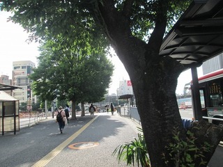 va4761@.jpg