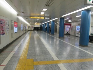 va7937.jpg