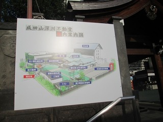 va7950.jpg