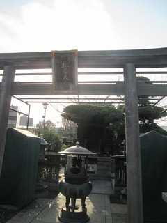 va7962.jpg