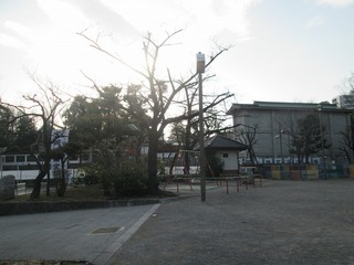 va7977.jpg