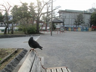 va7978@.jpg
