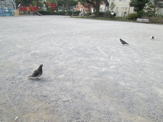 va7979@.jpg