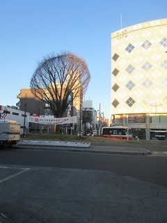 va8030.jpg