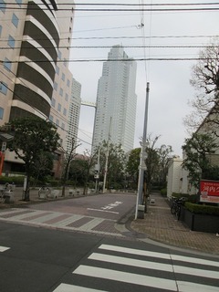 va8081.jpg