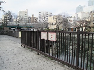 va8091.jpg