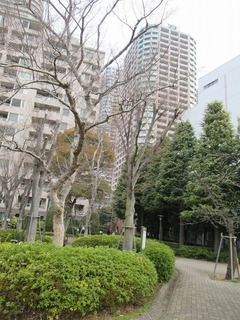 va8097@.jpg
