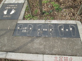 va8100@.jpg