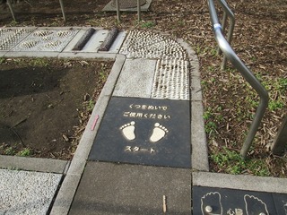 va8101@.jpg