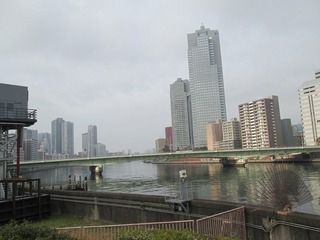 va8110@.jpg