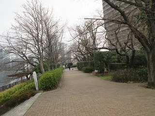 va8112@.jpg