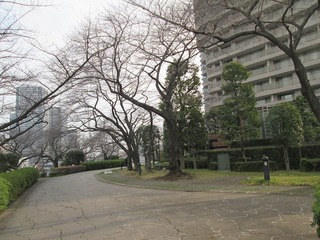 va8114@.jpg