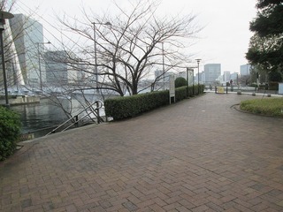 va8119@.jpg