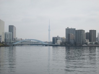 va8122@.jpg