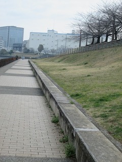 va8123.jpg
