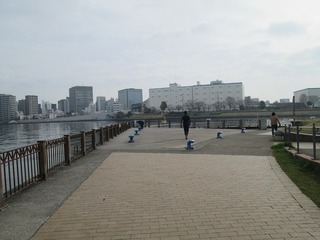 va8124@.jpg
