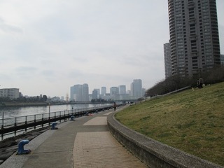 va8126@.jpg