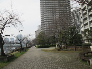 va8132@.jpg