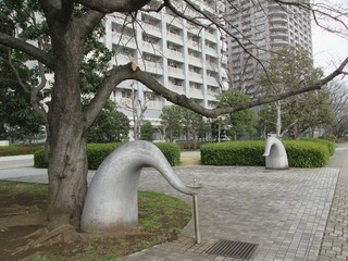 va8138.jpg