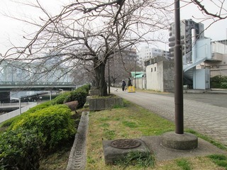va8140@.jpg