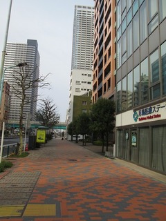va8146.jpg